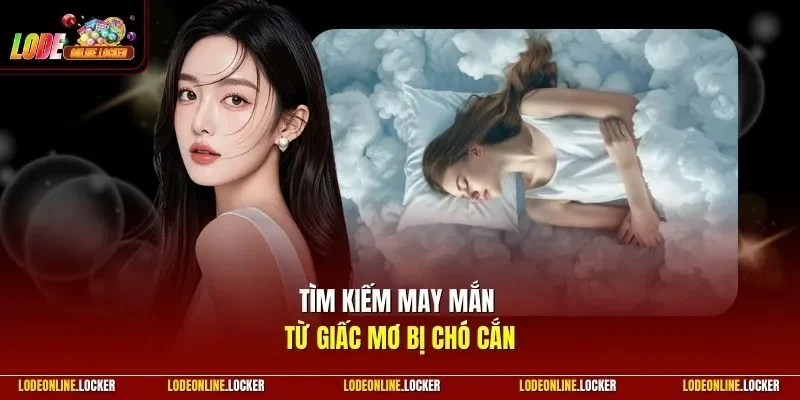 Tìm kiếm may mắn từ giấc mơ bị chó cắn